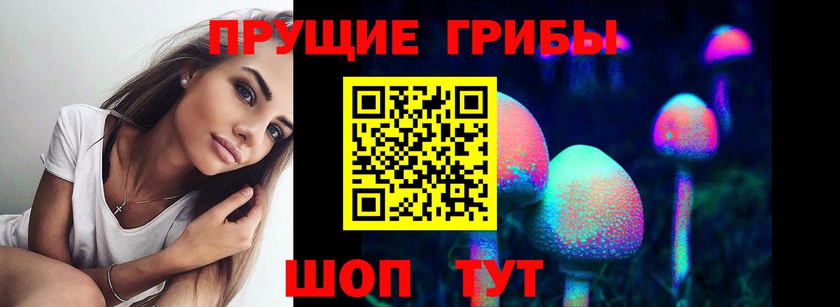 Армавир  Галлюциногенные грибы Cubensis  где можно купить наркотик  Вход с VPN 